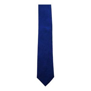 Triad Paisley Pattern Blue 100% Polyester Skinny Necktie